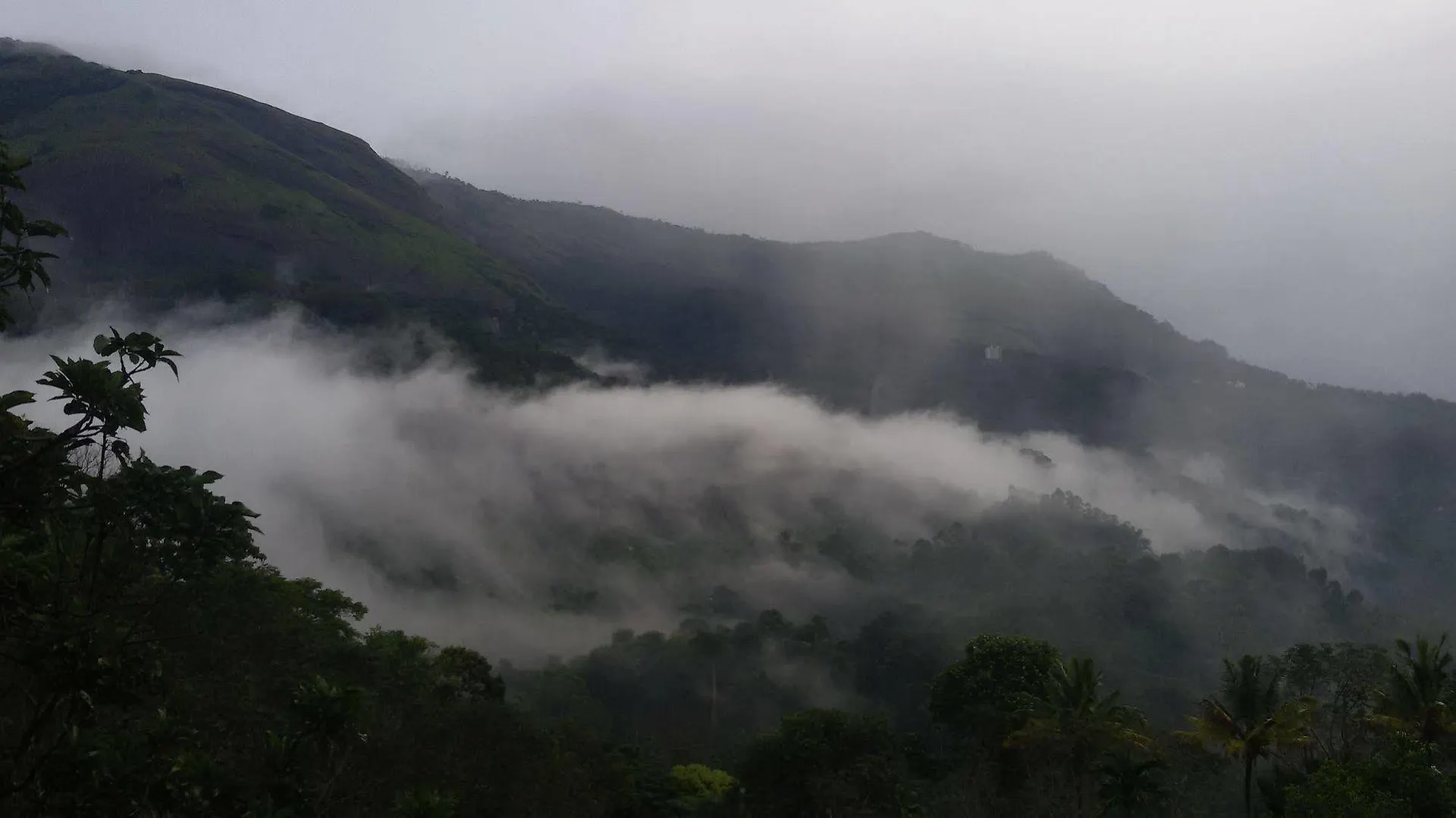 Hotel Mistletoe Munnar Inde
